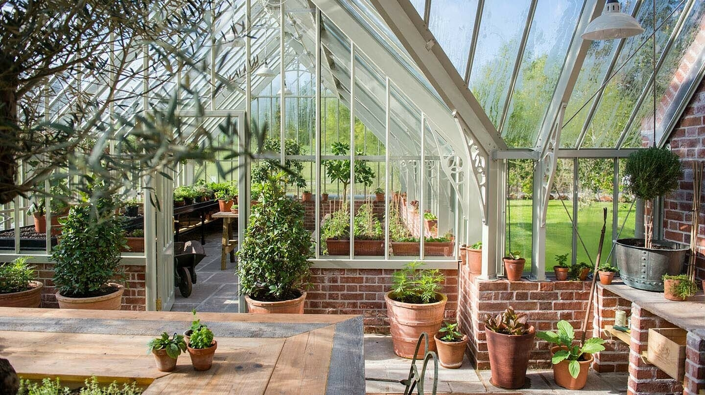 Lime wood greenhouse 3