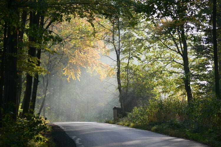 Photo 1531769960967 deca8a189d4a