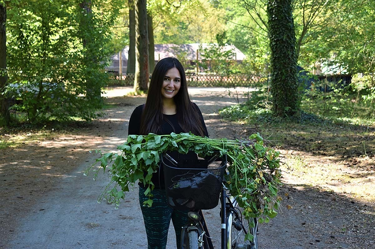 Samantha Lee foraging wildcrafting4