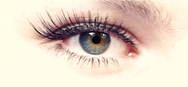 Eye