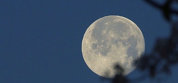 Moon