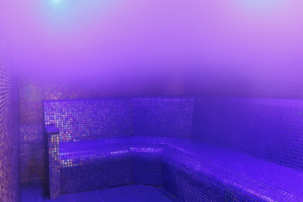 Syon Park Steam Room