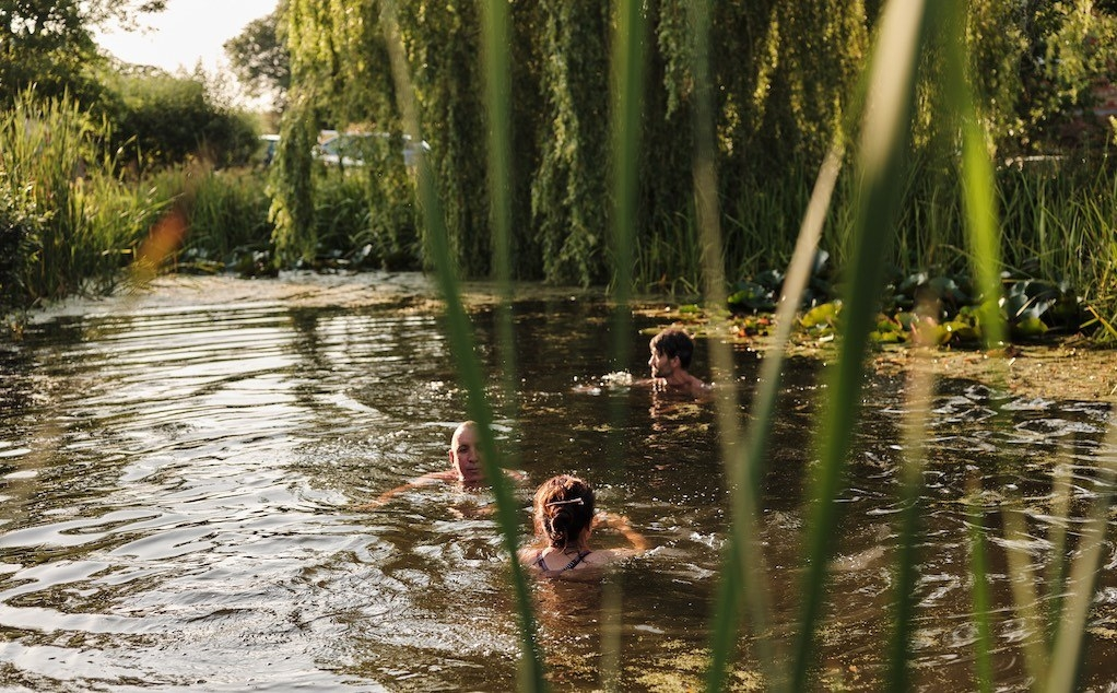 Green Farm Selects wild swim web