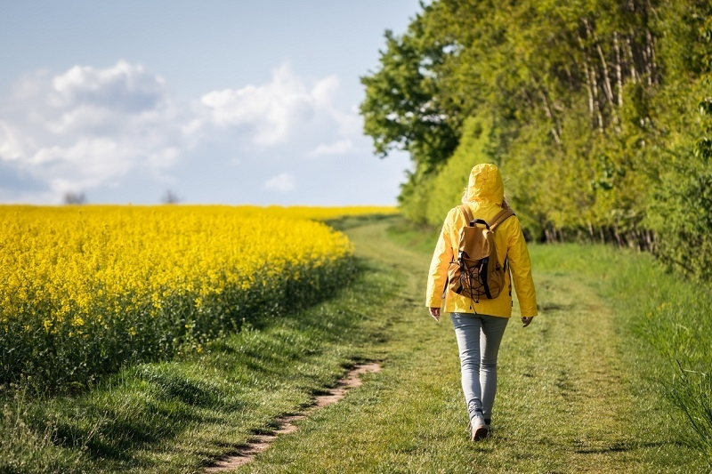 Spring walking hero image