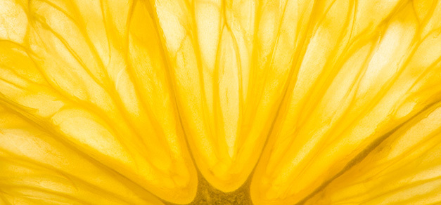 Orange slice